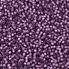 MIYUKI Delica Beads X-SEED-J020-DB2182-3