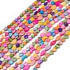 10 Strands Colorful Natural Freshwater Shell Dyed Beads Strands SHEL-M018-03-1
