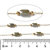 316 Surgical Stainless Steel Link Chains CHS-B007-02G-06-3