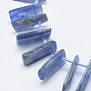 Natural Kyanite/Cyanite/Disthene Beads Strands G-K246-45-3