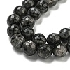 Natural Larvikite Beads Strands G-E571-A09-03-4