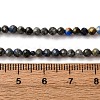 Natural Lapis Lazuli Beads Strands G-L629-B01-3mm-03-5