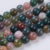 Natural Indian Agate Beads Strands G-G515-8mm-05-1