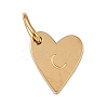 304 Stainless Steel Charms STAS-L291-01G-C-1