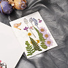 Pressed Dried Flowers DIY-YWC0001-94-5