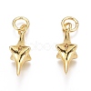Brass Micro Pave Clear Cubic Zirconia Pendants ZIRC-O035-20G-1