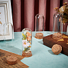 10Pcs Glass Dome Cover AJEW-BC0008-80-4