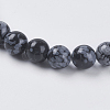 Natural Snowflake Obsidian Beads Strands G-G515-6mm-01-3