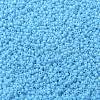 MIYUKI Round Rocailles Beads X-SEED-G009-RR0413-3