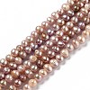 Natural Cultured Freshwater Pearl Beads Strands PEAR-L033-05B-01-1