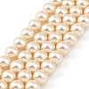 Preciosa® MAXIMA Crystal Nacre Pearls Y-PRC-NPA8-71000-2