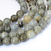 Natural Labradorite Round Bead Strands X-G-E334-8mm-19-1