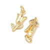 Brass Micro Pave Clear Cubic Zirconia Charms KK-G544-06G-01-2