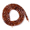 Natural Garnet Beads Strands X-G-P457-B01-18A-3