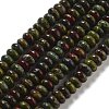 Natural Dragon Blood Beads Strands G-K343-C22-01-1