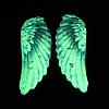 Luminous Transparent Epoxy Resin Pendants RE-CBAE738-01D-5