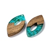 Transparent Resin & Walnut Wood Pendants RESI-N025-047A-02-2