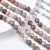 Natural Purple Red Tourmaline  Beads Strands G-N327-02B-01-2