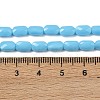 Opaque Glass Beads Strands GLAA-Z018-D20-4