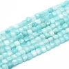 Natural Amazonite Beads Strands G-D0003-B11-1