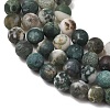 Natural Tree Agate Beads Strands X-G-T106-038-6