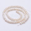 Natural Cultured Freshwater Pearl Beads Strands PEAR-F004-02-01-2