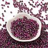 Transparent Inside Colours Glass Seed Beads SEED-H002-A-C207-2