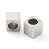 Non-Tarnish 304 Stainless Steel Beads LS-STAS-H160-01D-P-2