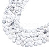 ARRICRAFT Natural Howlite Beads Strands G-AR0002-16-1