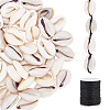 ARRICRAFT 200G 2 Colors Natural Cowrie Shell Beads BSHE-AR0001-04-1