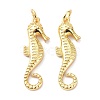 Eco-Friendly Brass Pendants KK-C221-04G-1