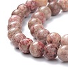 Natural Maifanite/Maifan Stone Beads Strands G-P451-01A-4