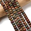 Natural Picasso Stone/Polychrome Jasper Beads Strands G-A280-A27-01-1