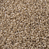 MIYUKI Delica Beads SEED-X0054-DB1731-3