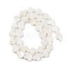Natural Freshwater Shell Beads Strands SHEL-K010-02B-2