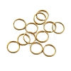 Iron Split Rings IFIN-XCP0001-38-1