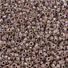 MIYUKI Delica Beads SEED-X0054-DB1749-3