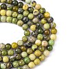 Natural Serpentine Beads Strands G-N166-4-2