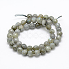 Natural Labradorite Beads Strands G-P322-28-8mm-2