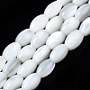 Natural Trochid Shell/Trochus Shell Beads Strands X-SSHEL-S266-021A-01-1