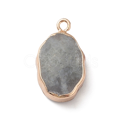 Natural Labradorite Pendants X-G-K333-01L-1