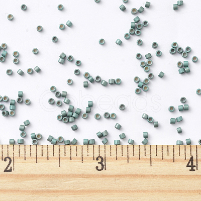 MIYUKI Delica Beads SEED-X0054-DB1847F-1