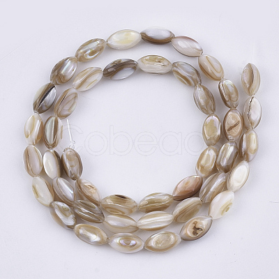 Freshwater Shell Beads Strands SHEL-S276-34B-1