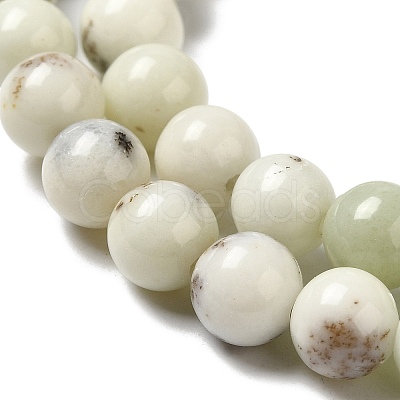 Natural Dendritic Jasper Beads Strands G-H298-A15-02-1