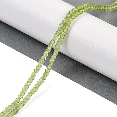 Natural Peridot Beads Strands G-H071-A01-01-1