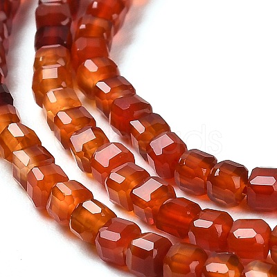 Natural Carnelian Beads Strands G-Q002-C01-02-1