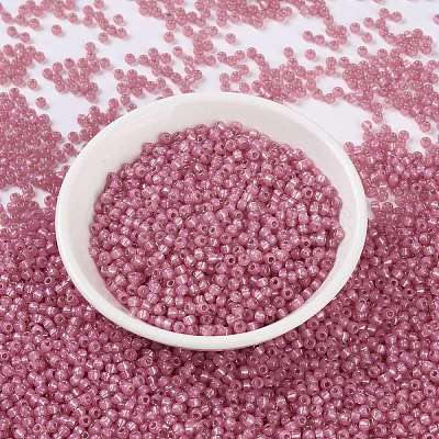 MIYUKI Round Rocailles Beads X-SEED-G008-RR0556-1