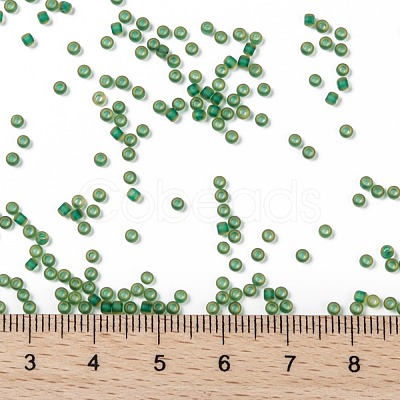 TOHO Round Seed Beads SEED-XTR11-0242FM-1