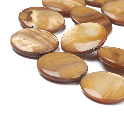 Natural Freshwater Shell Beads X-BSHE-I011-01A-01-1