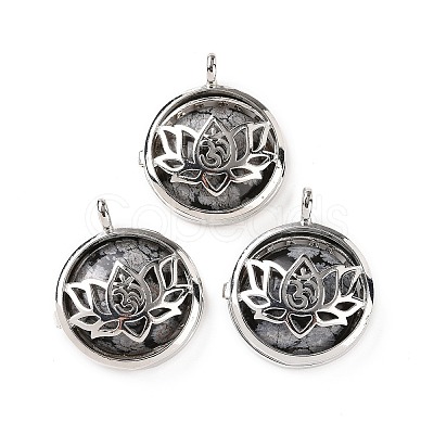 Natural Snowflake Obsidian Locket Pendants G-G982-01P-09-1